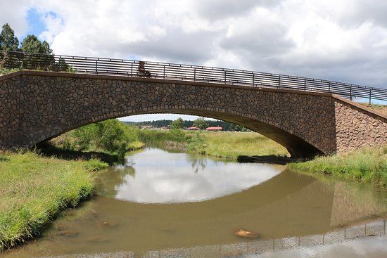 Show Low Bluff Trail